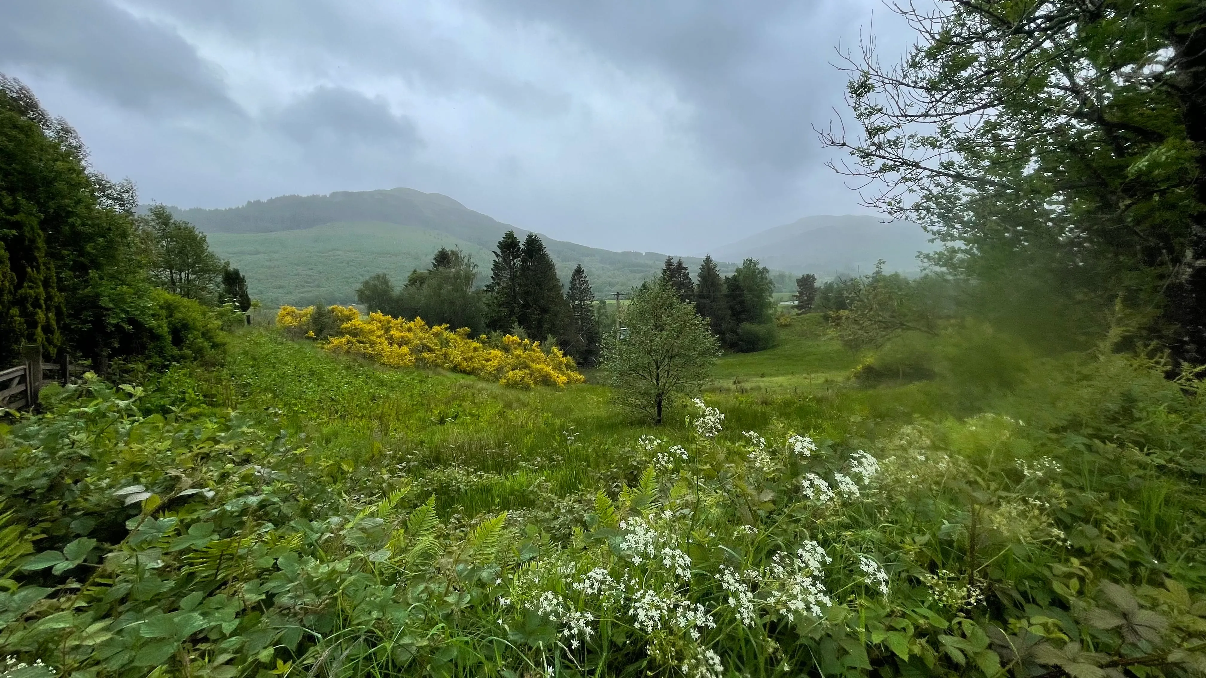 A scenic winding walking path through soft green hills under a light blue sky